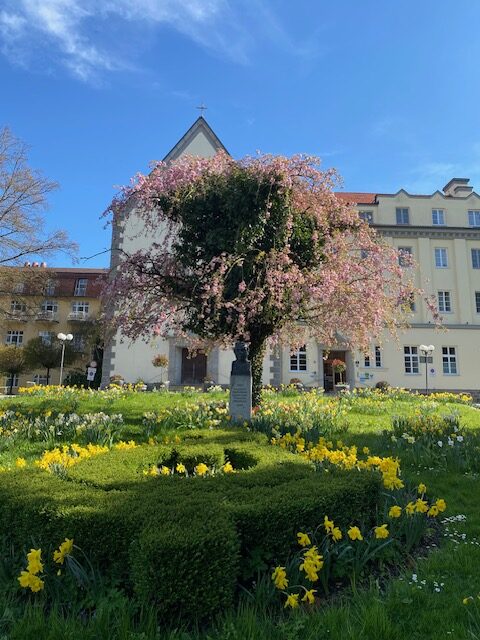 Auszeit im Kurhaus Schärding